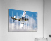 North American Aviation P-51D Mustang - Quick Silver Acrylic Print