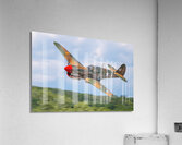 Curtiss P-40 Warhawk Impression acrylique
