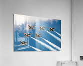 USAF Thunderbirds - Delta Formation Impression acrylique