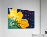 Yellow Sunflower Acrylic Print