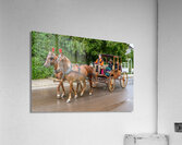 Horse and Carriage on Mackinac Island Impression acrylique