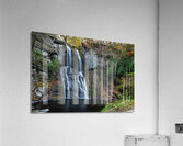 Bushkill Falls Acrylic Print