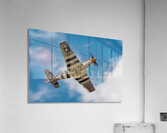North American Aviation P-51 Mustang Bald Eagle Acrylic Print