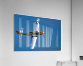 P-51D Mustang - Swamp Fox Impression acrylique