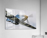P-51 Mustang - Bald Eagle - Speed and Power Acrylic Print