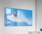 Grumman C-164 Ag Cat  and a Daring WingWalker.  Acrylic Print