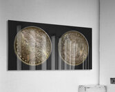 1897 United States Morgan Silver Dollar Impression acrylique