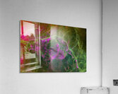 VELA Super Nova Remnant  Acrylic Print