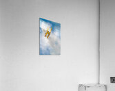 Freedom Acrylic Print