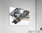 Flying Circus Acrylic Print