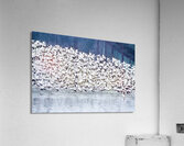 Snow Geese Migration Acrylic Print