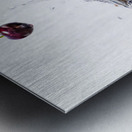 Cherries in a Vodka Martini Impression metal