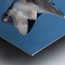 Lockheed-Martin USAF F-22 Raptor Metal print