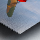 Curtiss P-40 Warhawk Impression metal