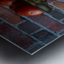 Tomatoes by a Window Metal print