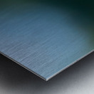 Hummingbirds Impression metal