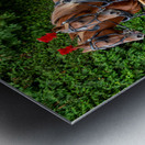 Horse and Carriage on Mackinac Island Impression metal