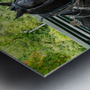 Teams of Horses Metal print