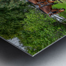 A Pair of Horses pulling a Carriage Metal print