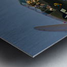 Curtiss P-40 Warhawk - American Dream Impression metal