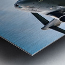 C-17 Globemaster Metal print