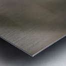 A Tree Swallow Enjoys a Sunny Day.  Metal print