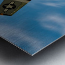 North American Aviation P-51 Mustang Bald Eagle Metal print