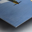 Jack Aces Flight Demonstration Team Metal print