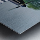 P-51D Mustang - Quicksilver Metal print