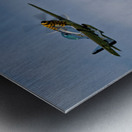 Flight Demonstration Team - Jack Aces Metal print