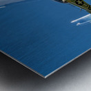 P-51D Mustang - Swamp Fox Impression metal