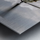 US Army - CH-47 - Chinook Metal print