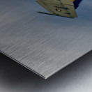 Gladiators Streaking Across the Sky Metal print