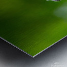 Two Cat Birds having a Conversation Metal print