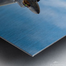 Lockheed Martin F-22 Raptor Metal print