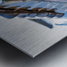 Curtiss P-40 Warhawk Nose Art Metal print