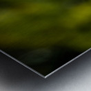 Sparrows on a Roof Impression metal