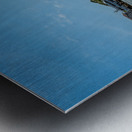 A Walk on the Beach  Metal print