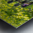 Fence and Flowers Metal print