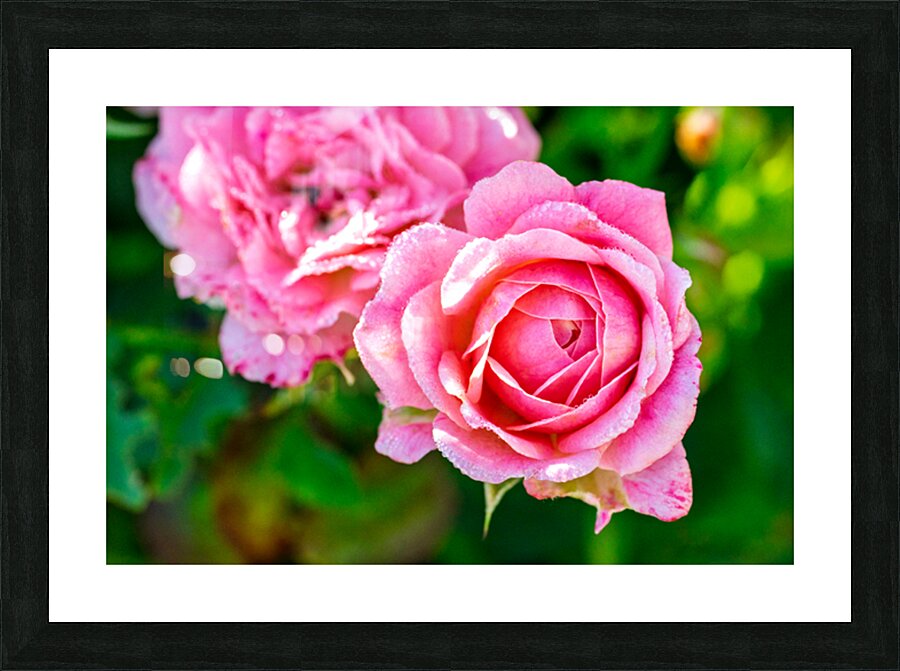 Pink Picture Frame print