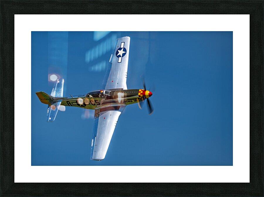 P-51D Mustang - Swamp Fox Impression et Cadre photo