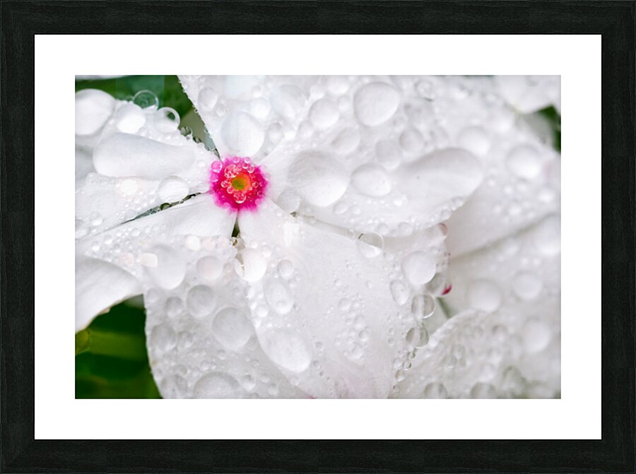 After The Storm Picture Frame print