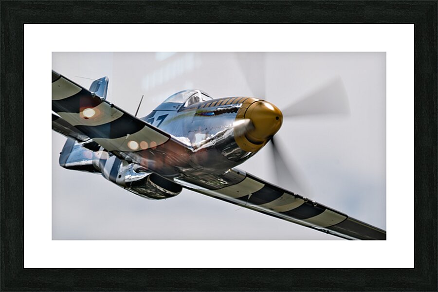 P-51 Mustang - Bald Eagle - Speed and Power Picture Frame print