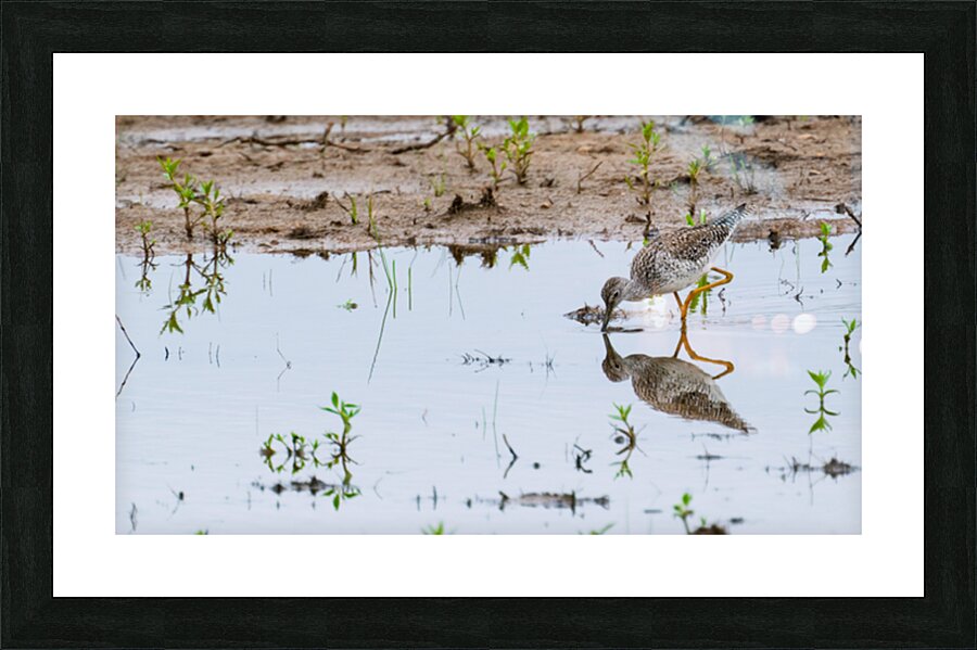 Reflection Picture Frame print