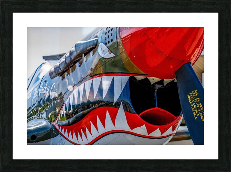 Curtiss P-40 Warhawk Nose Art Picture Frame print