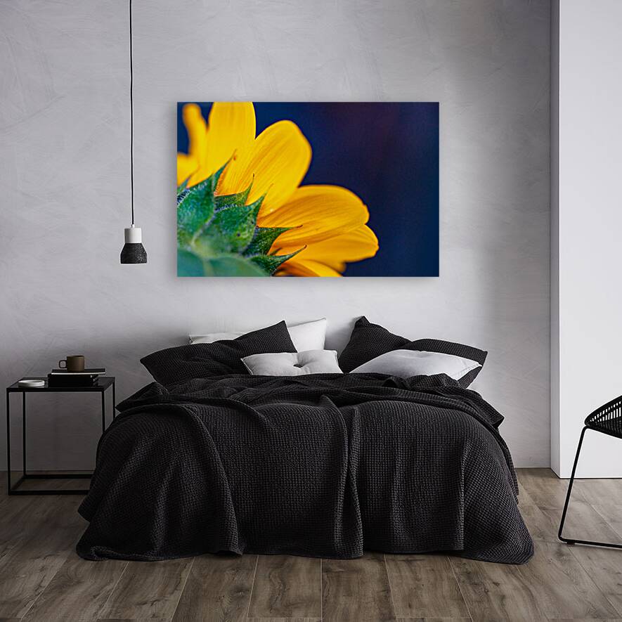 Yellow Sunflower Reproduction