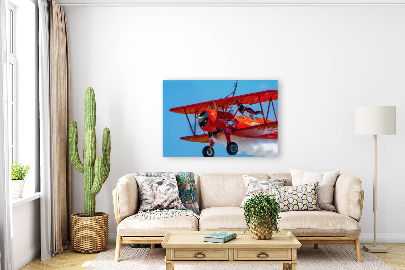 Flying Circus Reproduction