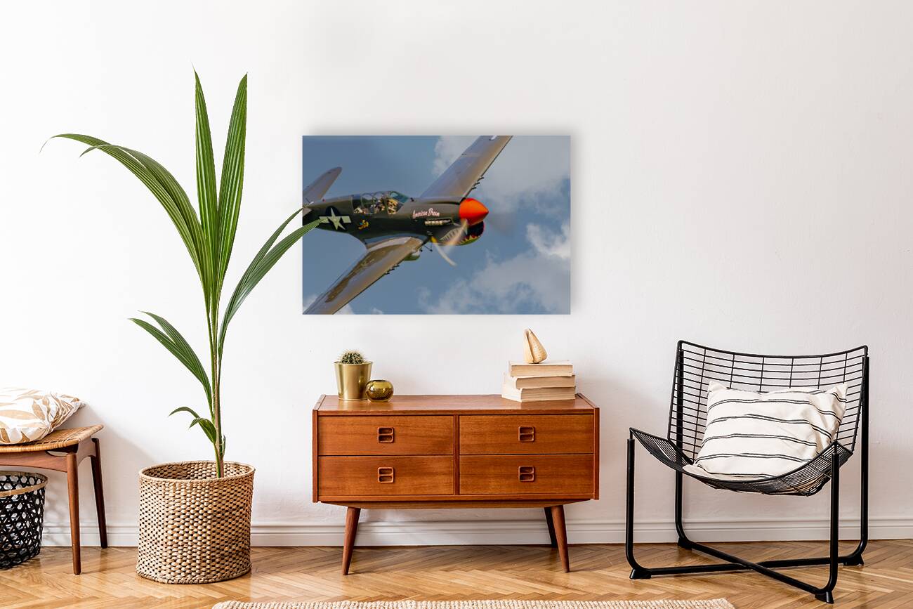 Curtiss P-40 Warhawk - American Dream Reproduction