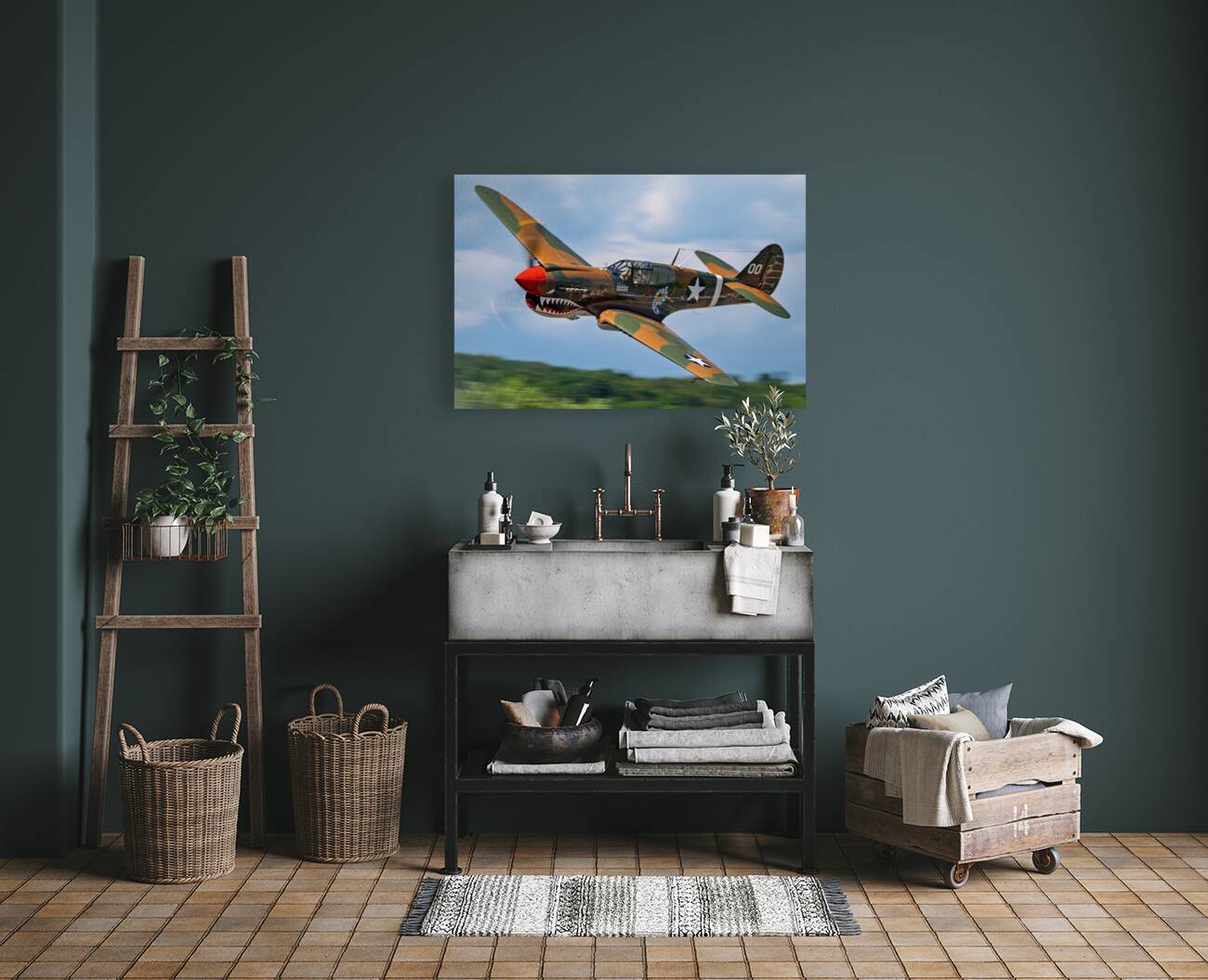 Curtiss P-40 Warhawk Low Altitude High Speed Pass Reproduction