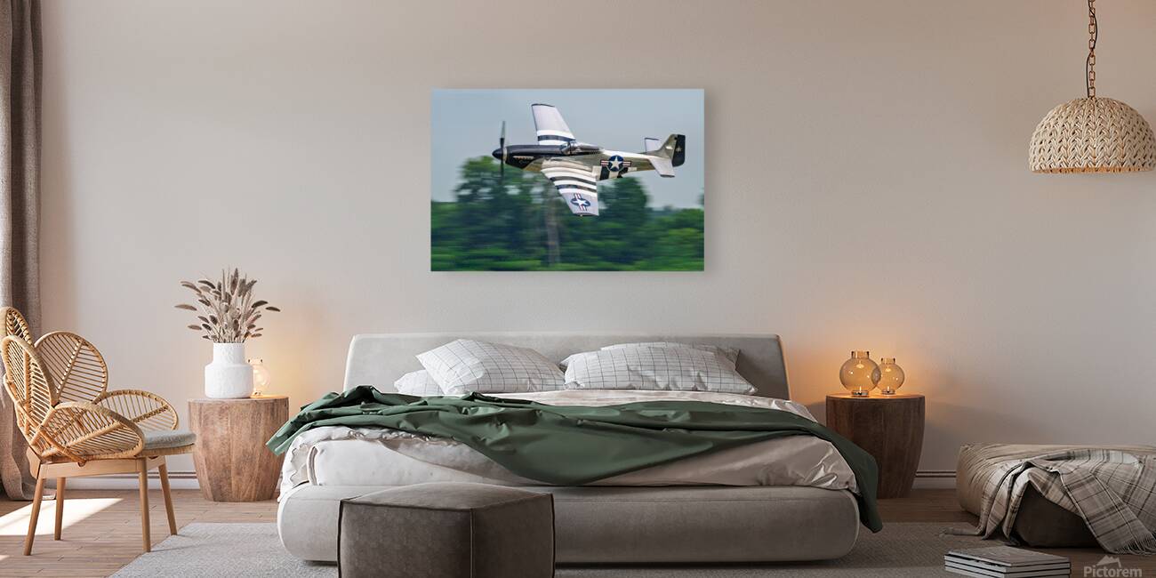 P-51D Mustang - Quicksilver Reproduction